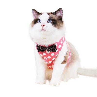 China Safety Viable Strong Printing Can Be Customized Breathable Pet Carrier Polka Dot Navy Peach Skin Pet Collar for sale