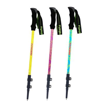 China Rise/Rise/Ski Maker Alpenstocks Superlight Alloy Steel Tip External Lock Carbon Fiber Telescopic Trekking Pole for Outdoor for sale