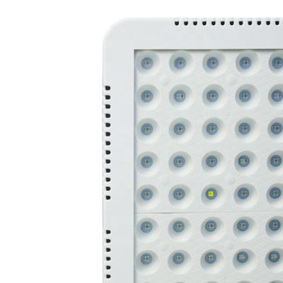 China ABS+PMMA Cover 300W-600W Desktop Hydroponic Greenhouse IR UV Infrared Flower Grow Lights LED Full Spectrum Garden Seedling Plant Plant Lights for sale