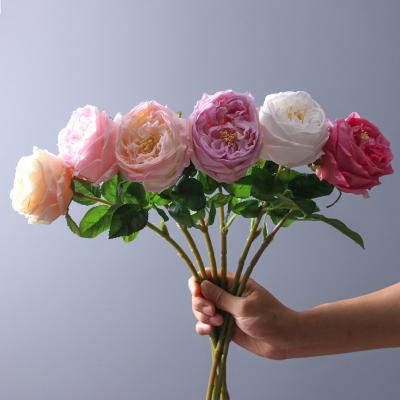 China Artificial Real Touch Natural Touch Flowers Moisturizing Austin Peony Single Branch Rose for sale