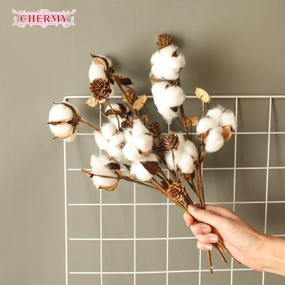 China Natural Cotton Flower Dried Cotton Stems Natural Flowers Wholesale Indoor Decoration for sale