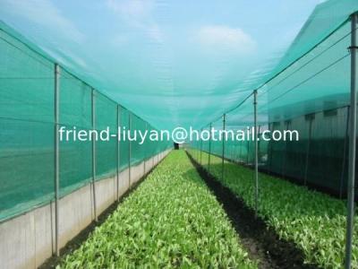 China Red de insectos de agricultura tratada con UV en venta