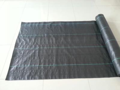 China Schwarzfarbiges Unkrautbekämpfungsgewebe, Bodenbedeckung, PP-Gewebe, 2m x 100m/Rolle zu verkaufen