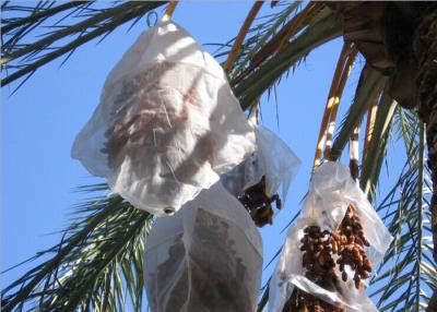 Chine Sacs à mailles en tissus noirs et blancs Jujube Date Sacs à mailles anti-UV HDPE à vendre