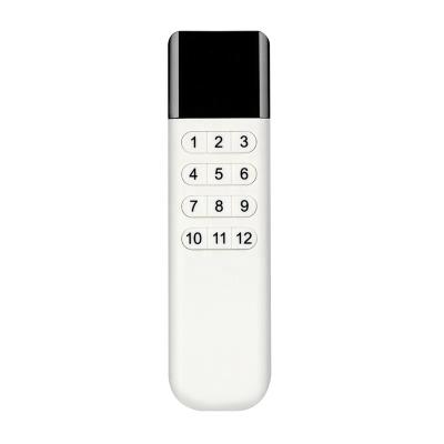 China Aoke Century RF Remote Control DC 2.8~3.5V 12 Buttons Security Control EV1527 Universal Lighting Smart Home RF Remote Control for sale