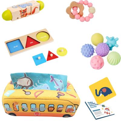 China A New Arrival Earlier Education Educational Toys Early Sets Knowledge Shaping Montessori Toys Hot Sales Kids Toys for sale