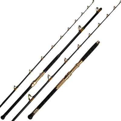 China Guide Ring Deep Sea Jigging Fishing Rod Electric Tower Pole Boat Rods from UD-GLASS FUJI for sale