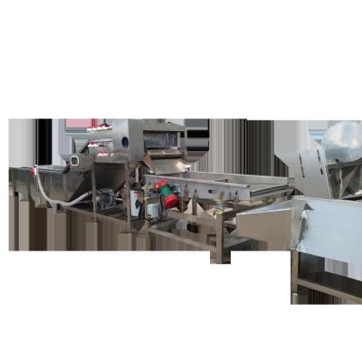 中国 China fruits orange washing waxing and grading machine/orange waxing assemble line 販売のため