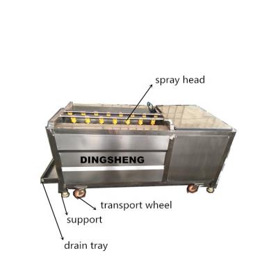 Κίνα Vegetable Cleaning And Peeling Machine  Fruit Roll Cleaning Machine προς πώληση