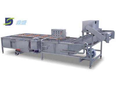 China Farm Special Fruit Vegetable Processing Machine Industrial Vegetables Fruits Cleaning for sale