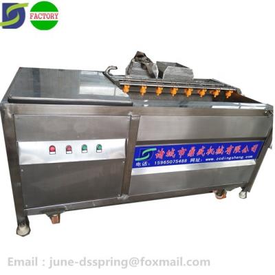 China Grain Fruit Vegetable Processing Machine Automatic Wool Roller Cleaning Machine for sale