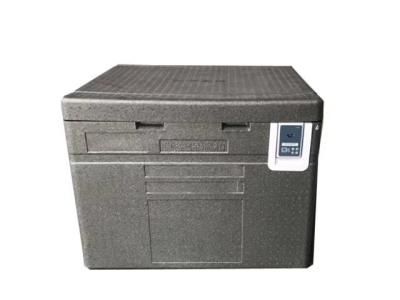 China El EPP de Gray Cuboid Polystyrene Cooler Box refrigeró la incubadora en venta