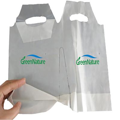 China 100% Biodegradable and Compostable Carry Bag Plastic Drinking Biodegradable Food Plastic Bags for sale