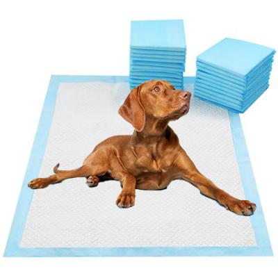 China Durable 6 Layers Super Absorbent Waterproof Non Slip Disposable Training Pet Pads For Dog And Cat for sale