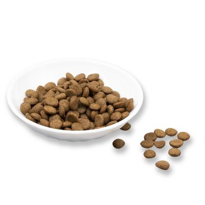 China OEM direct sales100% best viable natural pet super cat and dog food delicious and nutritious dry food factory for sale