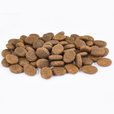 China Popular Style Cat Food Wholesale Price Dry Bag OEM Cat Snack Foods Large Cat Food Viable for sale