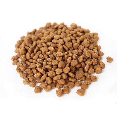 China Sustainable OEM ODM Factory Supply No Synthetic Preservatives Added Good Healthy Dry Dog Food Cat Food Use For All Kinds Age for sale