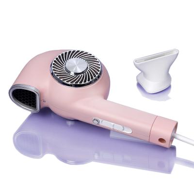 China Custom Ionic Fast Dry Hair Dryer Hair Care Electric Tool, High Temperature Hair Dryer with 1500W for sale