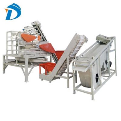 China Almond Processing Complete Almond Adjustable Automatic Almond Processing Line Shelling Machine for sale