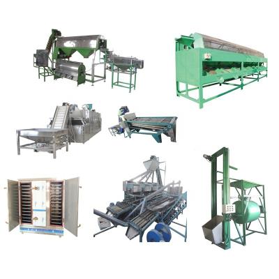 China Snack Factory Completed Automatic And Semi Automatic Cashew Nuts Cashew Processing Line Machine for sale