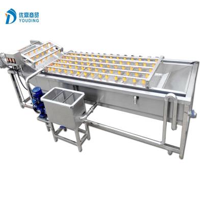 China Automatic Garlic Garlic Separating Peeling Drying Machines Automatic Garlic Washing Processing Line for sale