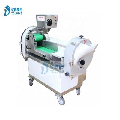 China Onion Onion Peeling Machine Onion Washing Machine Vegetable Processing Line for sale