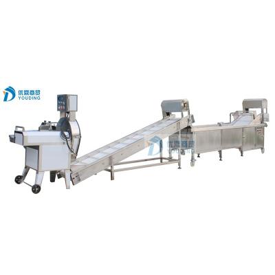 China High Efficiency Onion Ginger Onion Processing Line Washing And Slicing Machine for sale