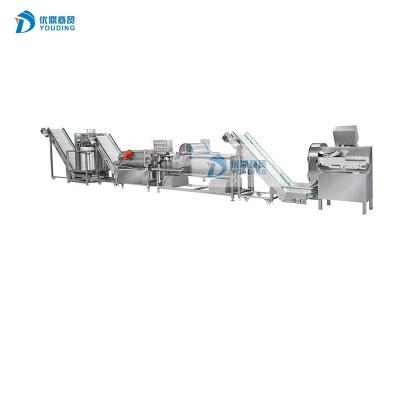 China Automatic Frozen Chips Machine Factory Frozen Chips Production Unit Electric Frozen Chips Machine for sale