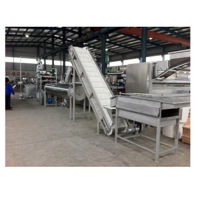 China Factory Juice Making Factory Complete Cashew Fruit Juice Making Line for sale