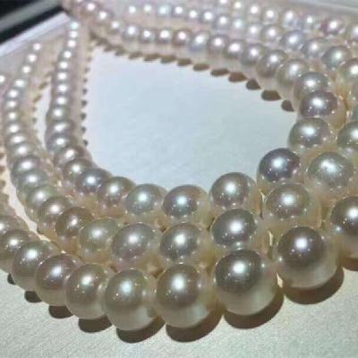 China Quarry pearl natural freshwater white necklace jewelry box free round and mother of pearl and translucent style slightly flawed CIA high quality for sale