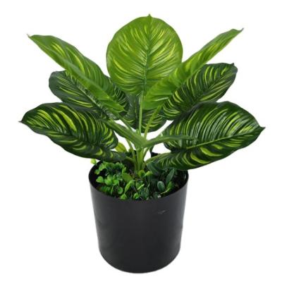 China YD8727 Contemporary Wholesale Artificial Aglaonema Plant Artificial Aglaonema Bonsai For Hotel Home Decoration for sale