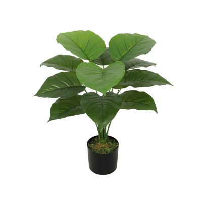 China Realistic Bonsai Plant Indoor Tree, Artificial Plant 12 Branches Table Home Decor 50cm Evergreen Plant for sale