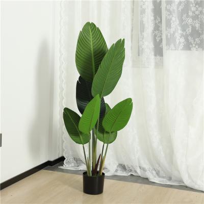 China Wedding CLASSIC Home Decor Party 280-3 Greenery Traveler Artificial Banana Tree, Indoor Artificial Tree for sale