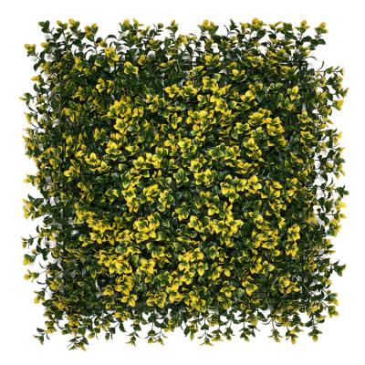 China Wholesale high quality minimalist HB0602Y artificial grass wall, yellow leaf boxwood decoration for garden for sale