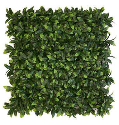 China CLASSIC Custom Artificial Boxwood Plants HB0610 Wall High Quality Plant Wall Mall Decor for sale