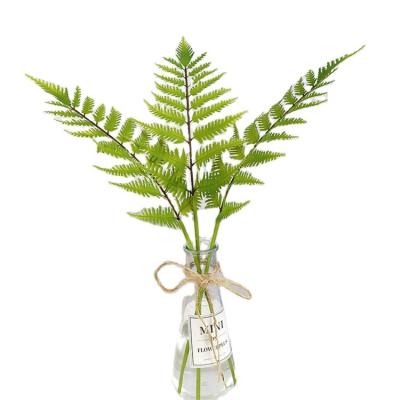 China YD8603 Modern Plastic Covering Mini Artificial Small Plant Fake Fern Plants For Landscaping Wall for sale