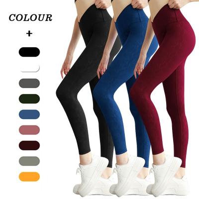 China HOSTARON China Manufacturer Breathable Yoga Leggings Women Exercise Running Female Fitness Active Wear for sale