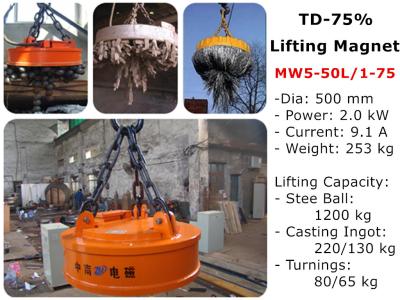 China ZN-Magnet TD-75% Lifting Electromagnet for Steel Scraps MW5-50L/1-75 for sale