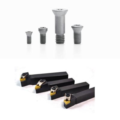 China Sfs Intec Flat Fasteners Insert Screw Lathe Tool Holder Screw For Cnc Cutting Tool Face Mill Fix Carbide Indexable Tip for sale