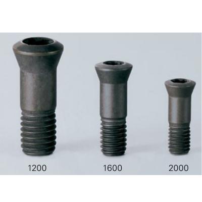 China High Tensile Square Force Carbide Flat Tip Screws Indexable Shoulder Face Mill Fasteners For Cutting Tool Fasteners Screw Rotation for sale