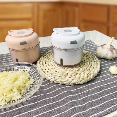 China Viable Premium Safe USB Plastic ABS Plastic Salad Nuts Grater Cleaver Garlic Filling Electric Blender for sale