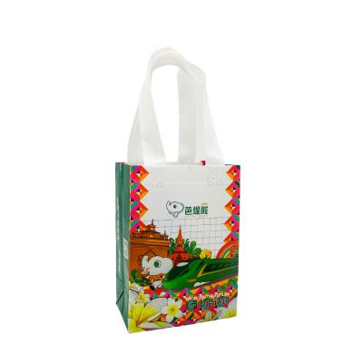 China Recyclable Promotional Eco Friendly Fashionable Colorful Inforce Handle Clear Printing PP To Handle Non Woven Shopping Bag for sale