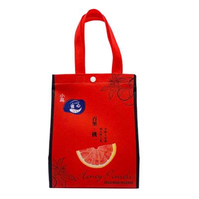 China New Design Whole Sale Recyclable and Anti-water Colored Eco Friendly Breathable Handle PP Coated Nonwoven Bag for Food Packing for sale