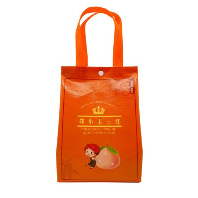 China High Quality Reusable Reusable Laminated Promotional Non Woven Food Packaging Bag Custom Logo Wholesale Cheap Price Recyclable for sale