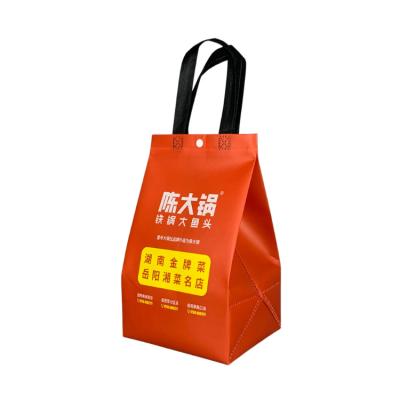 China BIODEGRADABLE Colorful Printing Waterproof Raincoats Recycle Heat Insulation Cooler Bag With Customize For Food Caterer for sale