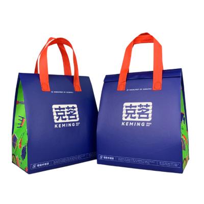 China Recyclable High Quality Restaurant Use Thermal Insulation Leakproof Bag With Custom Printed Pattern For Food Delivery for sale