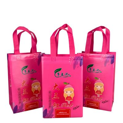 China Fashion Recyclable Style Waterproof Thermal Insulated Reusable Non Woven Shopping Bag With Customize Logo For Takeaway for sale