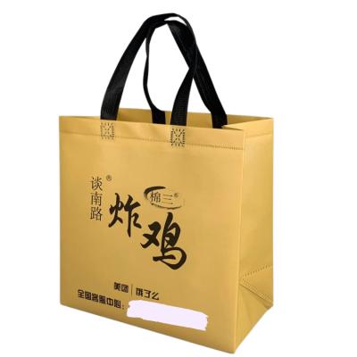 China Fashion Recyclable Style Waterproof Thermal Insulated Reusable Non Woven Shopping Bag With Customize Logo For Takeaway for sale