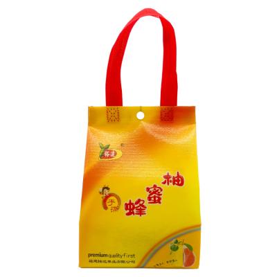 China Custom Laminated Colorful And High Quality Hot Sale PP Woven Bag Reusable Tote Reusable Shopping Grocery Bag For Food for sale