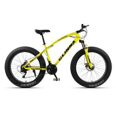 China Fatbike 2021 steel factory supply mtb snow bike bicycle steel for sale